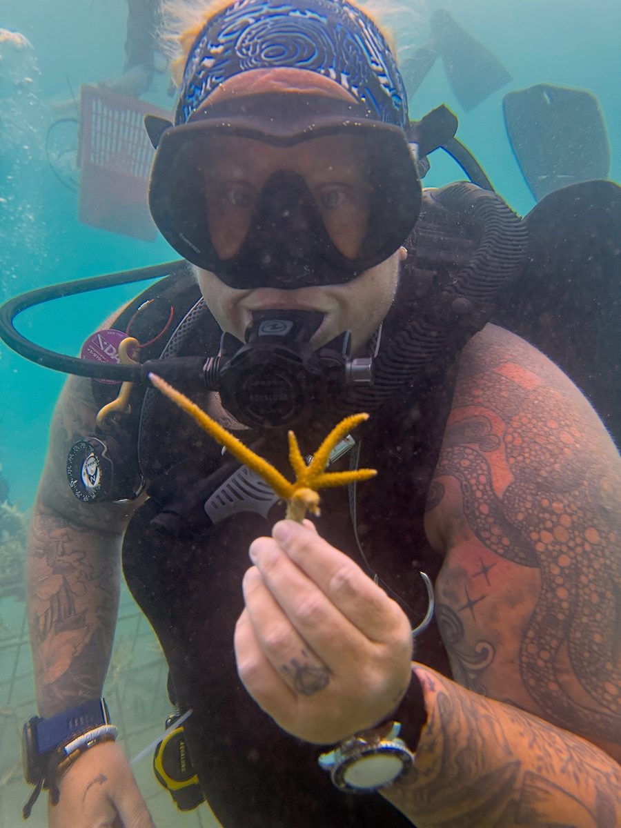 Me underwater holding up a small staghorn coral fragment for restoration.