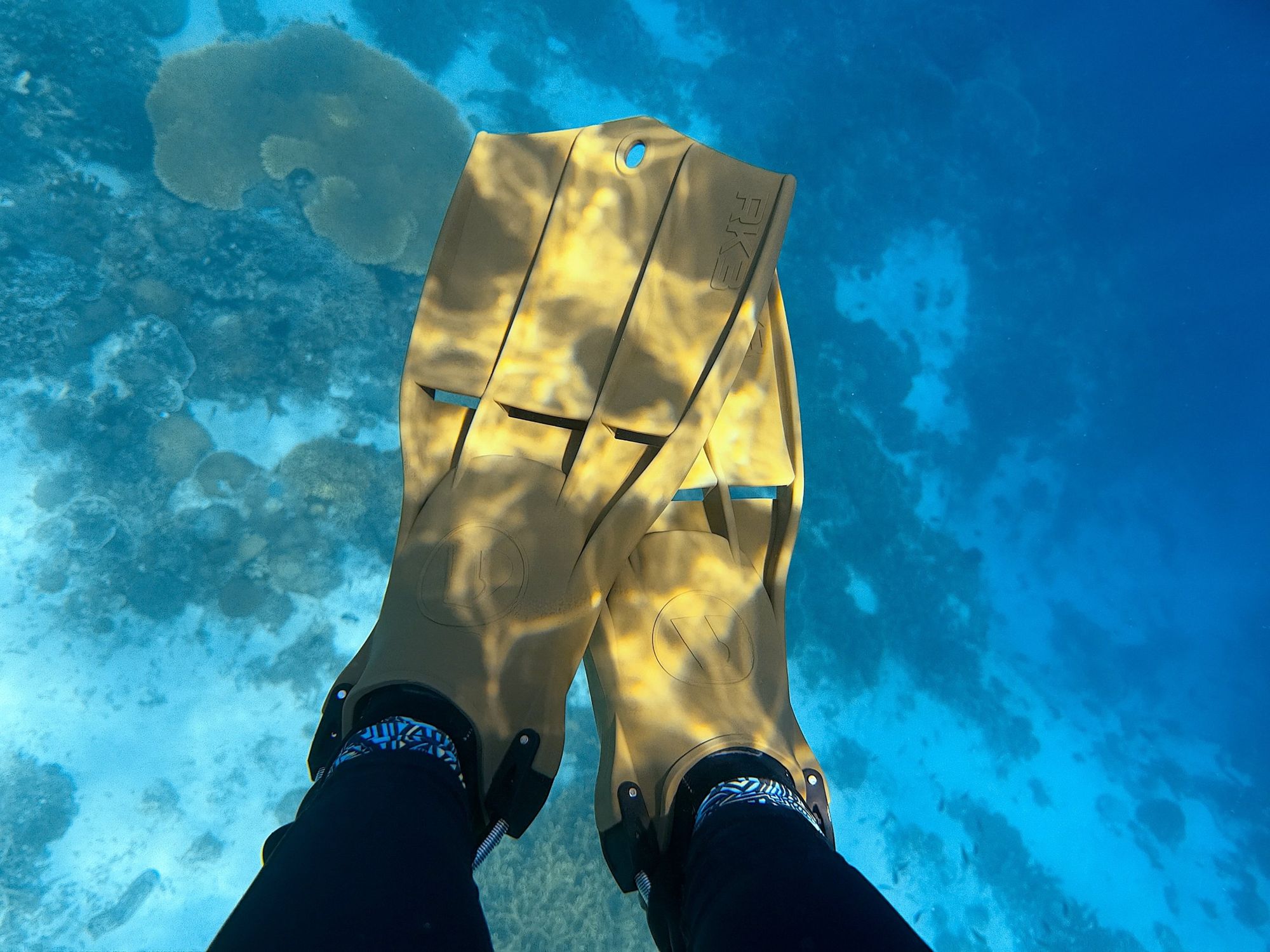 Looking down at my yellow fins from underwater, with sunlight rippling across them over a coral reef.